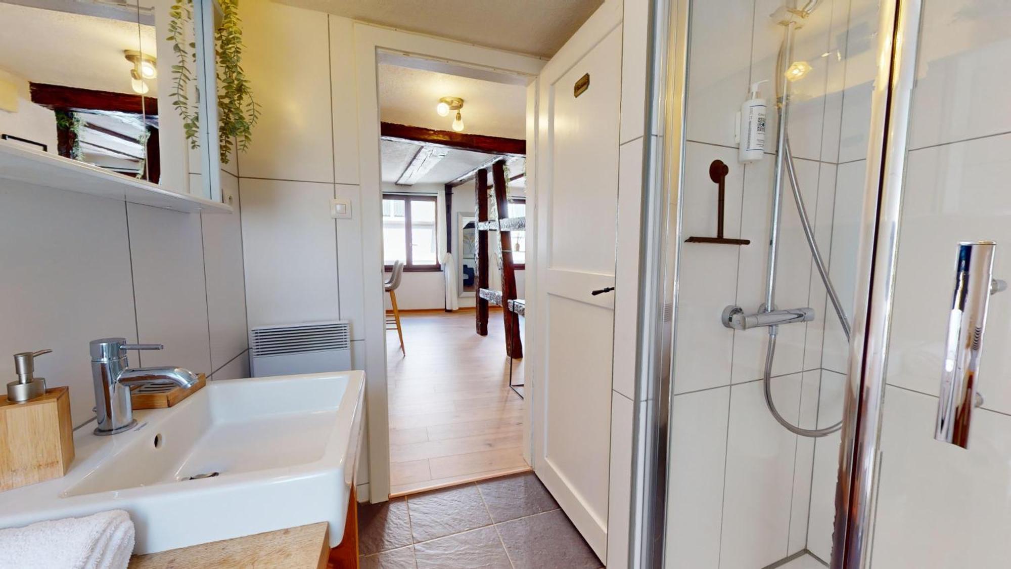 Au Petit Vauban 2 Chambres & Parking Colmar Zewnętrze zdjęcie
