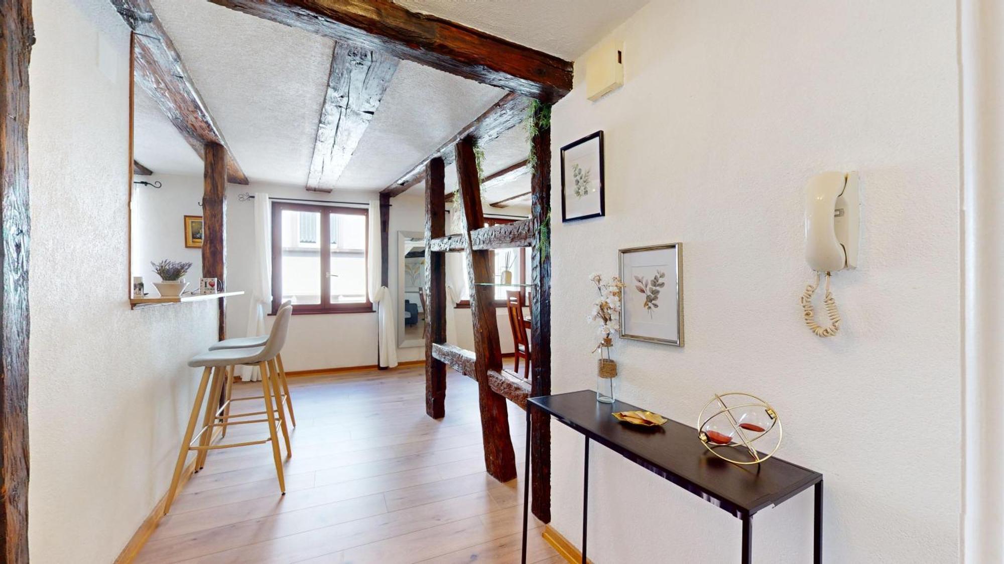 Au Petit Vauban 2 Chambres & Parking Colmar Zewnętrze zdjęcie