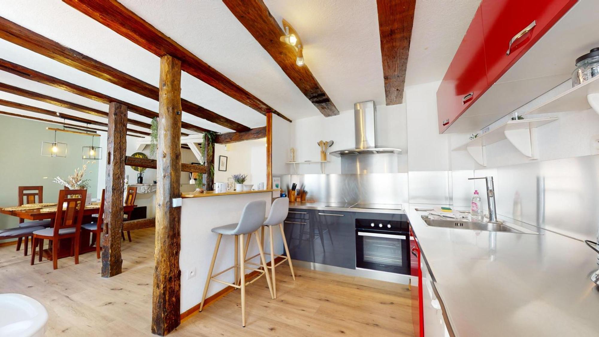 Au Petit Vauban 2 Chambres & Parking Colmar Zewnętrze zdjęcie